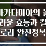 마카다미아의 놀라운 효능과 칼로리 완전정복