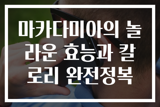 마카다미아의 놀라운 효능과 칼로리 완전정복