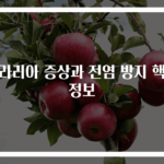 말라리아 증상과 전염 방지 핵심 정보