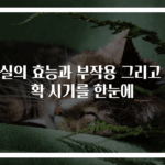 매실의 효능과 부작용 그리고 수확 시기를 한눈에