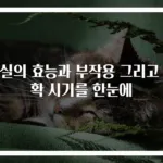 매실의 효능과 부작용 그리고 수확 시기를 한눈에