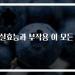 매실효능과 부작용 이 모든 것