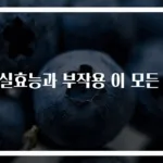 매실효능과 부작용 이 모든 것
