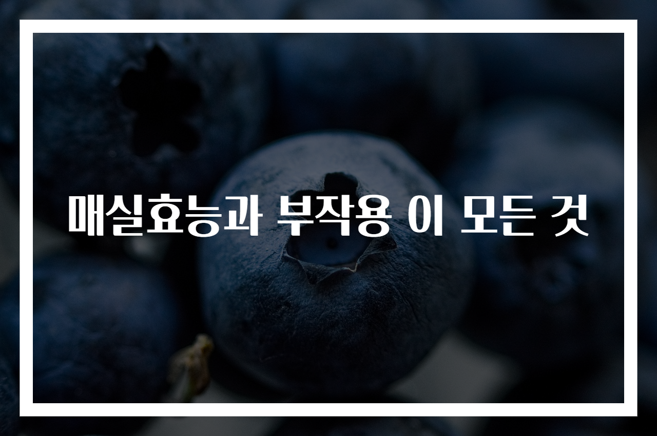 매실효능과 부작용 이 모든 것