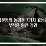 맥문동의 놀라운 7가지 효능과 부작용 완전 정리