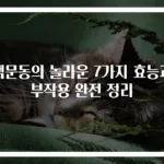 맥문동의 놀라운 7가지 효능과 부작용 완전 정리