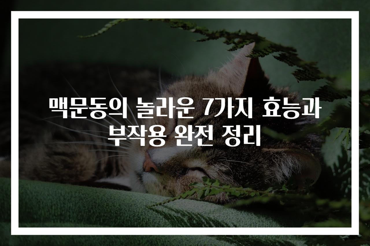 맥문동의 놀라운 7가지 효능과 부작용 완전 정리