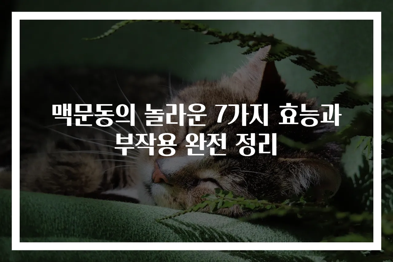 맥문동의 놀라운 7가지 효능과 부작용 완전 정리
