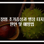 맹장염 초기증상과 맹장 터지는 원인 및 예방법