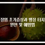맹장염 초기증상과 맹장 터지는 원인 및 예방법
