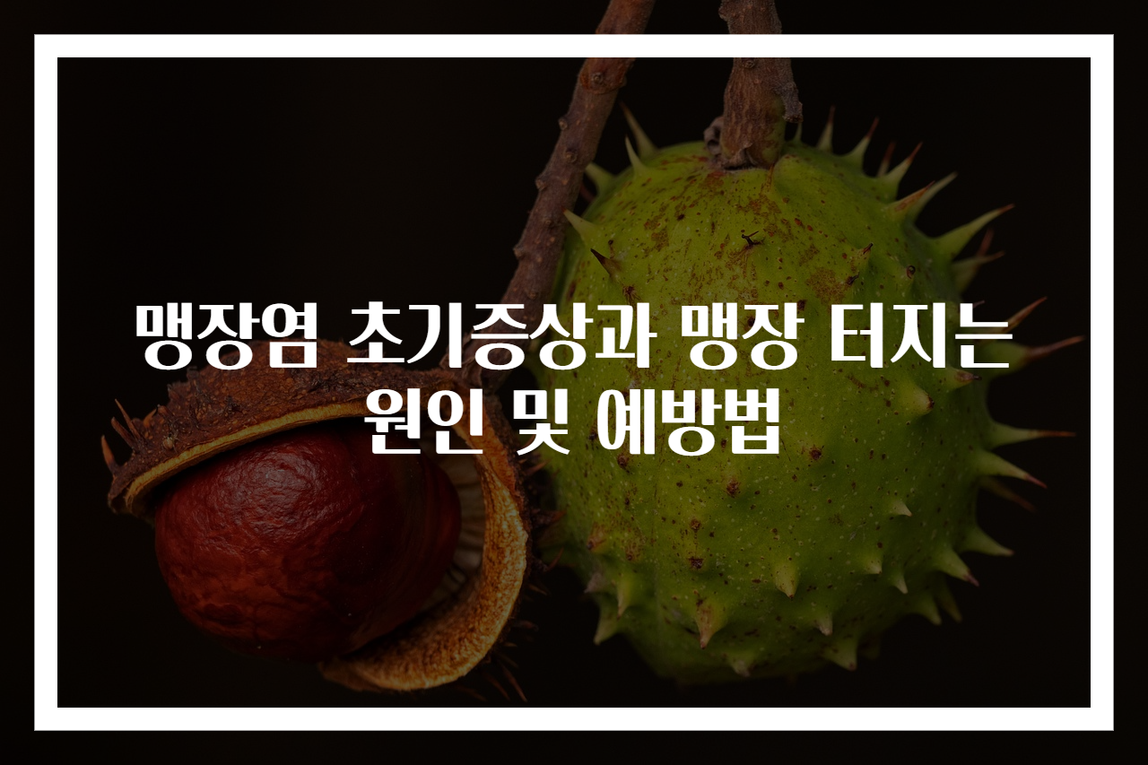 맹장염 초기증상과 맹장 터지는 원인 및 예방법