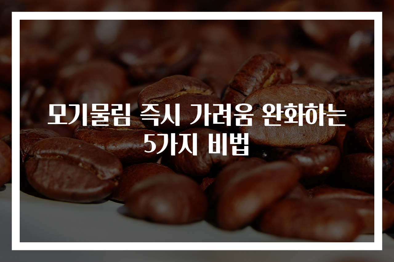 모기물림 즉시 가려움 완화하는 5가지 비법