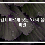 목감기 빠르게 낫는 5가지 음식 비밀