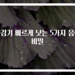 목감기 빠르게 낫는 5가지 음식 비밀