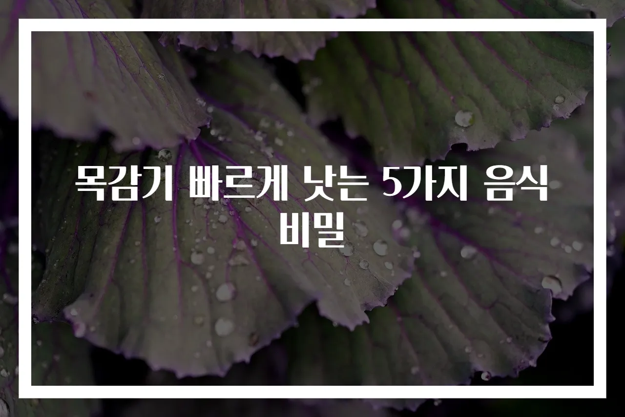 목감기 빠르게 낫는 5가지 음식 비밀