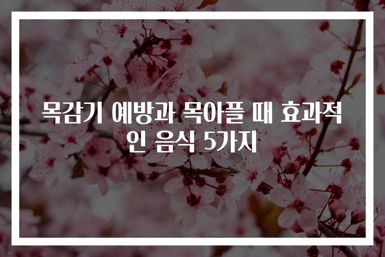 목감기 예방과 목아플 때 효과적인 음식 5가지