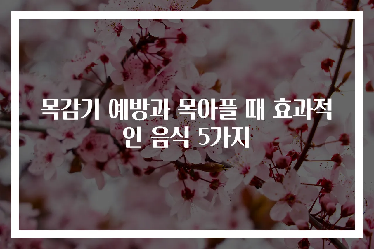 목감기 예방과 목아플 때 효과적인 음식 5가지