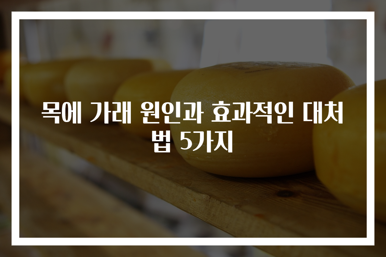목에 가래 원인과 효과적인 대처법 5가지