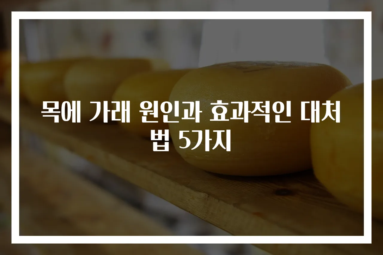 목에 가래 원인과 효과적인 대처법 5가지