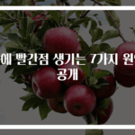 몸에 빨간점 생기는 7가지 원인 공개