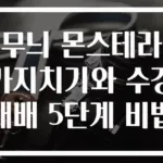 무늬 몬스테라 가지치기와 수경재배 5단계 비법