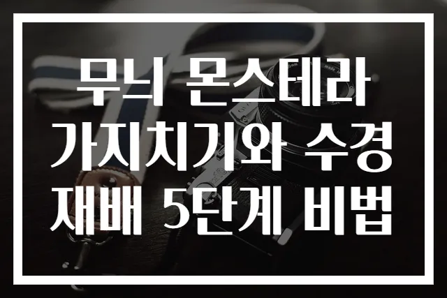 무늬 몬스테라 가지치기와 수경재배 5단계 비법