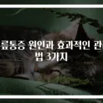 무릎통증 원인과 효과적인 관리법 3가지