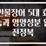 민물장어 5대 효능과 영양성분 완전정복
