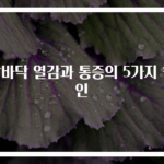 발바닥 열감과 통증의 5가지 원인