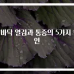 발바닥 열감과 통증의 5가지 원인