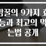 밤꿀의 9가지 효능과 최고의 먹는법 공개
