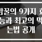 밤꿀의 9가지 효능과 최고의 먹는법 공개
