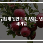 방귀냄새 원인과 지속되는 냄새 제거법