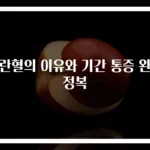 배란혈의 이유와 기간 통증 완전정복