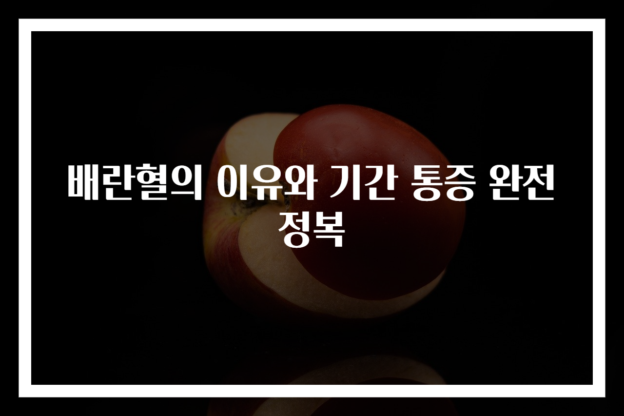 배란혈의 이유와 기간 통증 완전정복