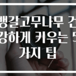 뱅갈고무나무 건강하게 키우는 5가지 팁