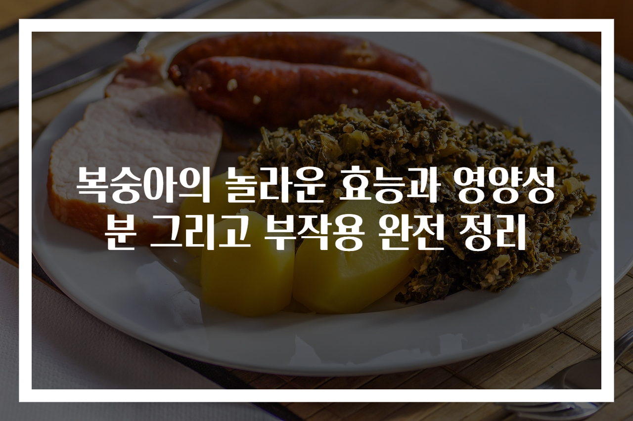 복숭아의 놀라운 효능과 영양성분 그리고 부작용 완전 정리