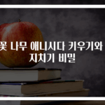 봄꽃 나무 애니시다 키우기와 가지치기 비밀