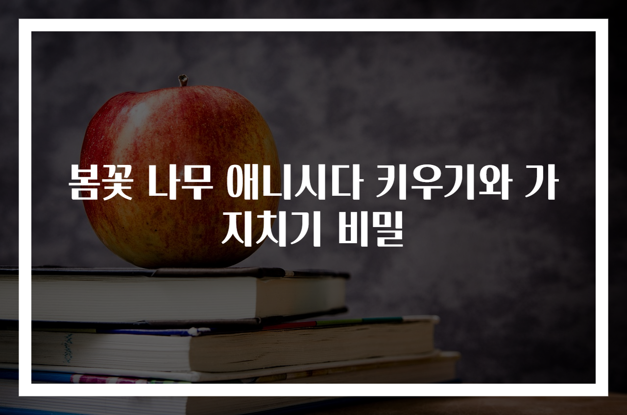 봄꽃 나무 애니시다 키우기와 가지치기 비밀