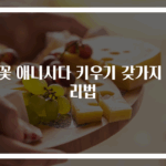 봄꽃 애니시다 키우기 갖가지 관리법