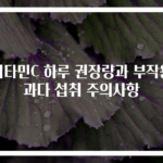 비타민C 하루 권장량과 부작용 과다 섭취 주의사항
