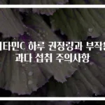 비타민C 하루 권장량과 부작용 과다 섭취 주의사항