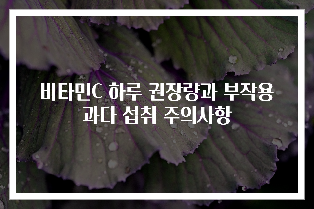 비타민C 하루 권장량과 부작용 과다 섭취 주의사항