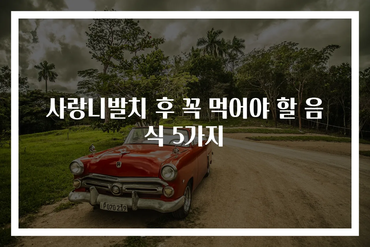 사랑니발치 후 꼭 먹어야 할 음식 5가지