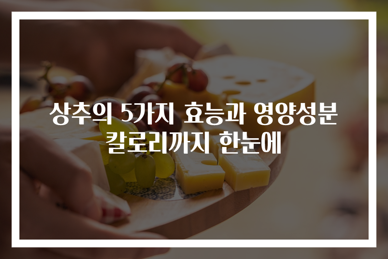 상추의 5가지 효능과 영양성분 칼로리까지 한눈에