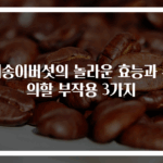 새송이버섯의 놀라운 효능과 주의할 부작용 3가지