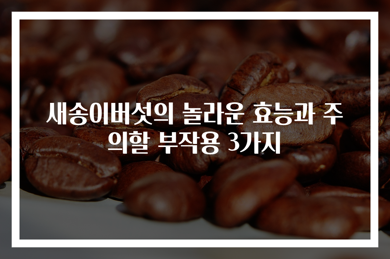 새송이버섯의 놀라운 효능과 주의할 부작용 3가지