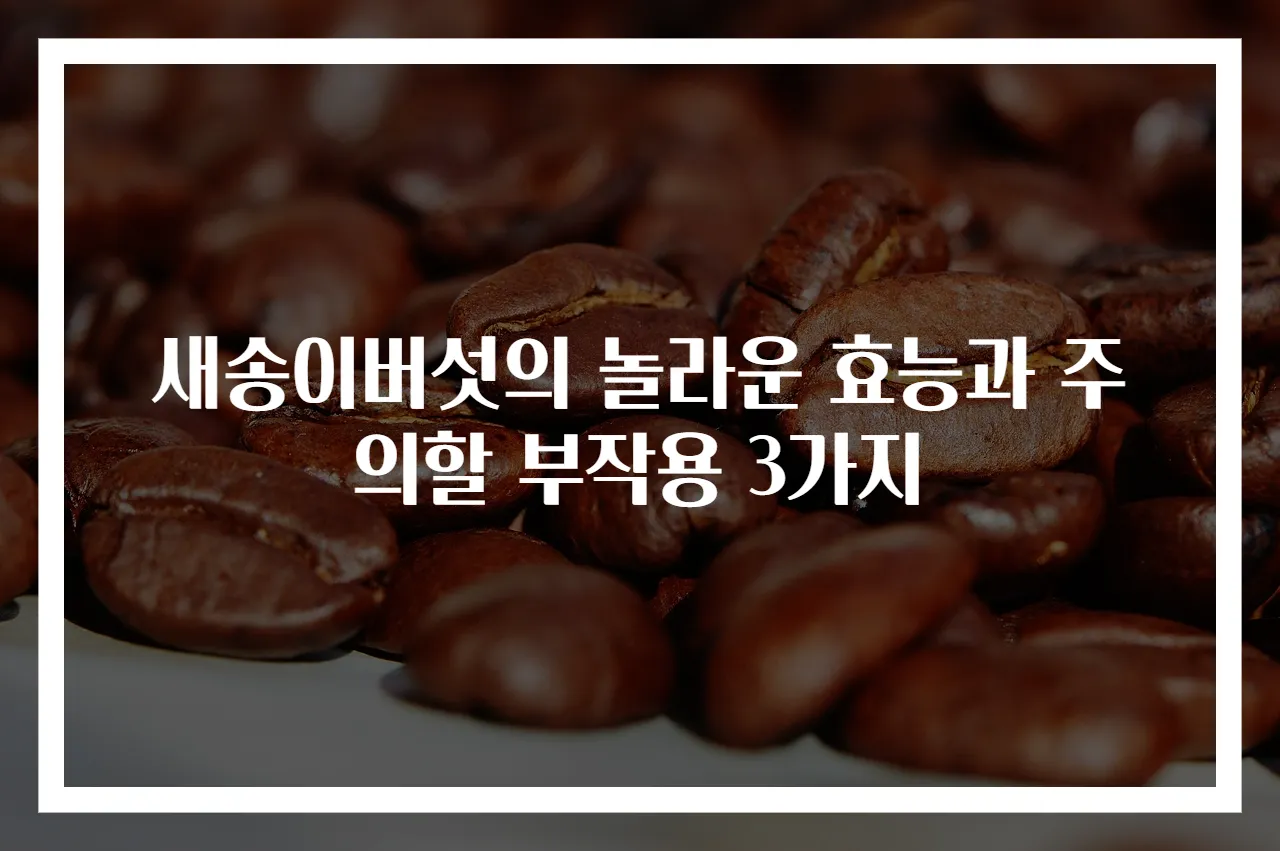 새송이버섯의 놀라운 효능과 주의할 부작용 3가지