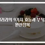 샐러리의 9가지 효능과 부작용 완전정복