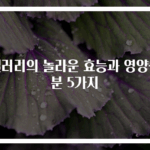 샐러리의 놀라운 효능과 영양성분 5가지